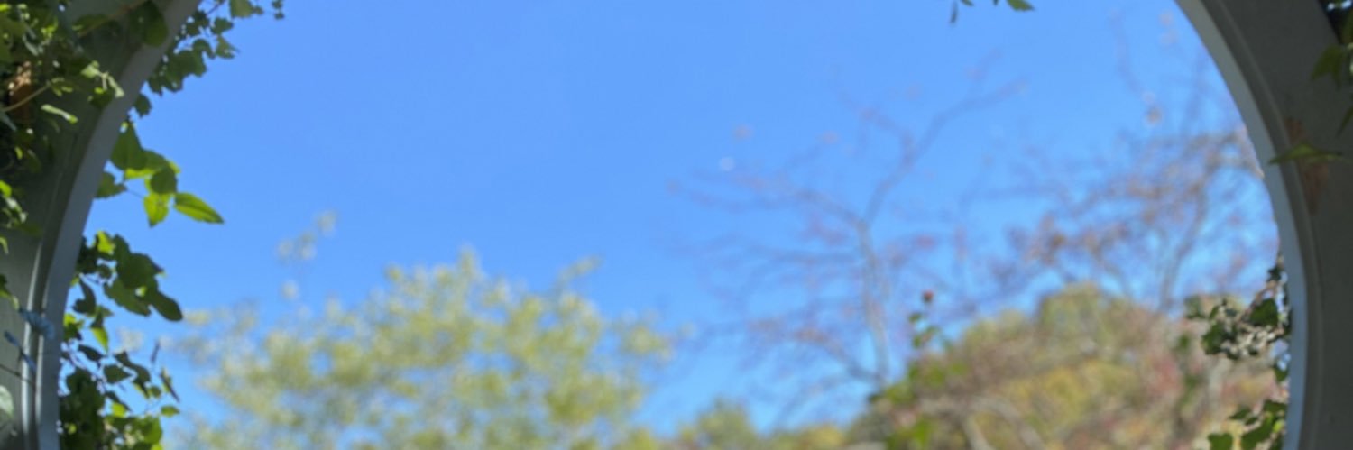 Missarab_'s profile banner image