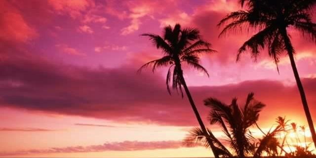 Mónica Martínez banner