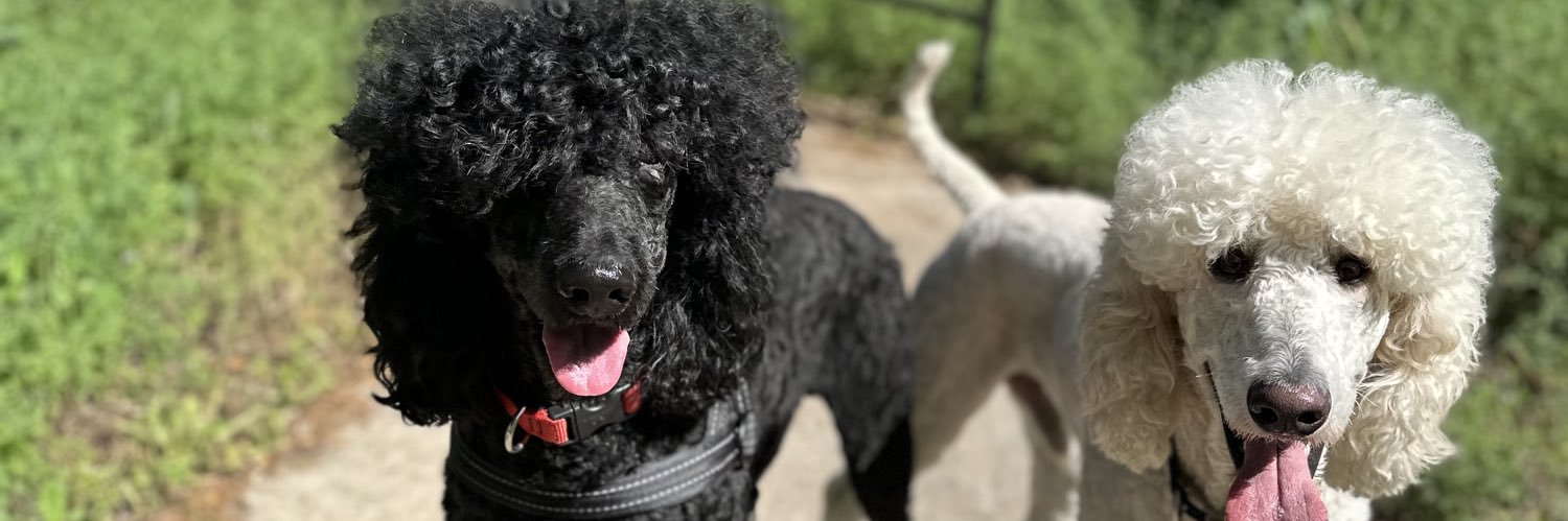 TheJanaeShow🎙️ banner