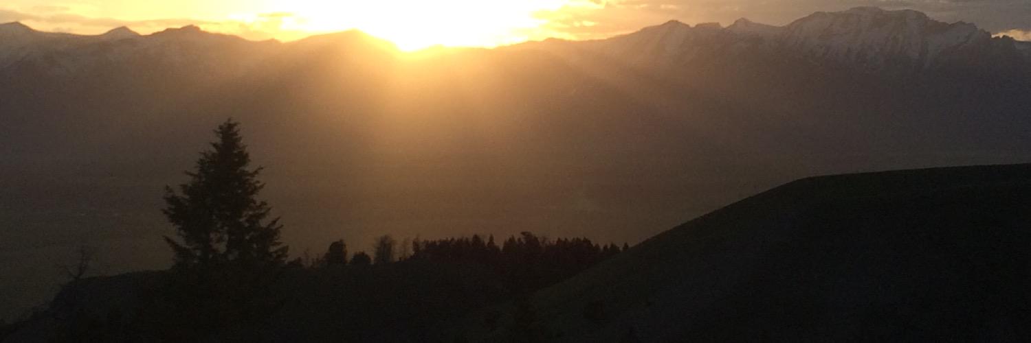 MelchorMoore's profile banner image