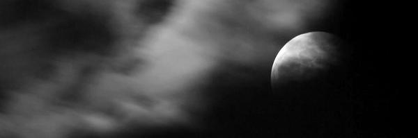 gymtigerx Profile Banner