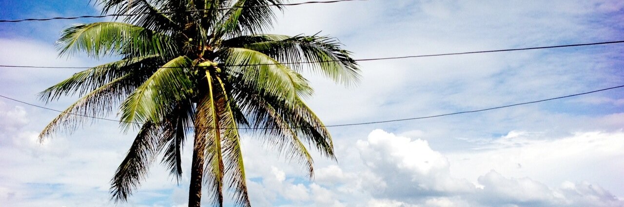 ShawnaMalcom's profile banner image