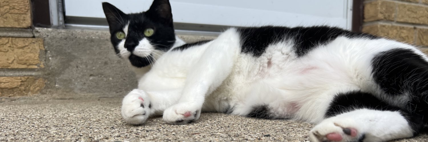 photo boi 📸📽 🇵🇸 𓃠 banner