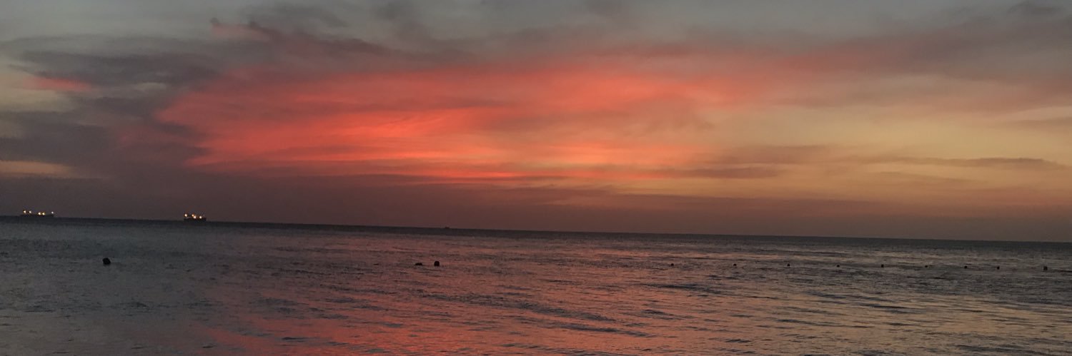 diegocotes's profile banner image