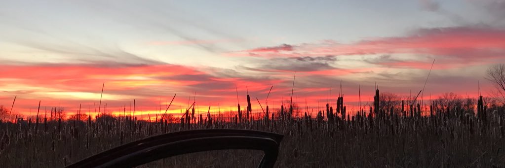 BridgetKokta's profile banner image