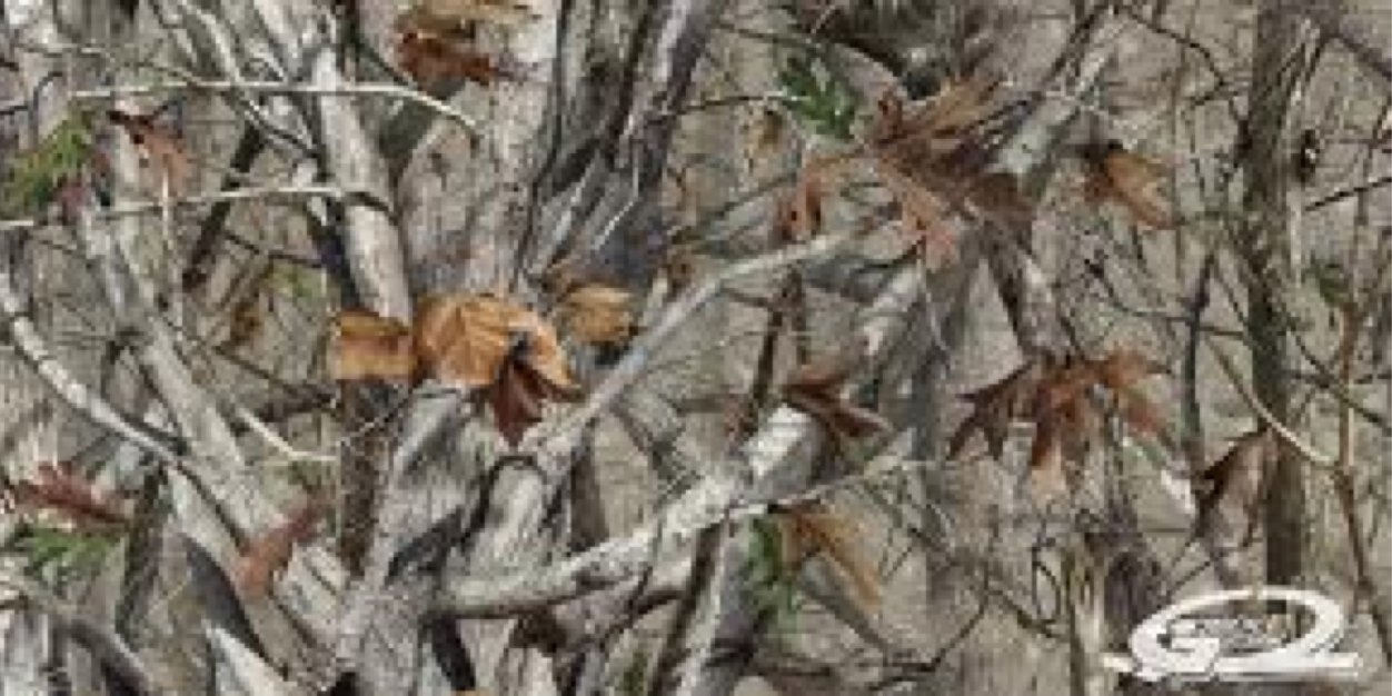 briannebrown99's profile banner image