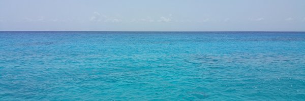 SQLReeves Profile Banner