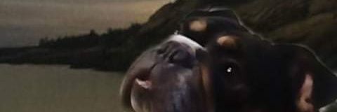 TiaNicholson's profile banner image