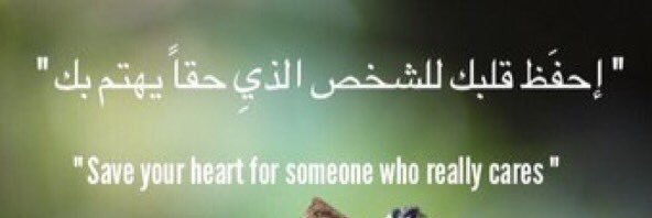 bashaier3's profile banner image