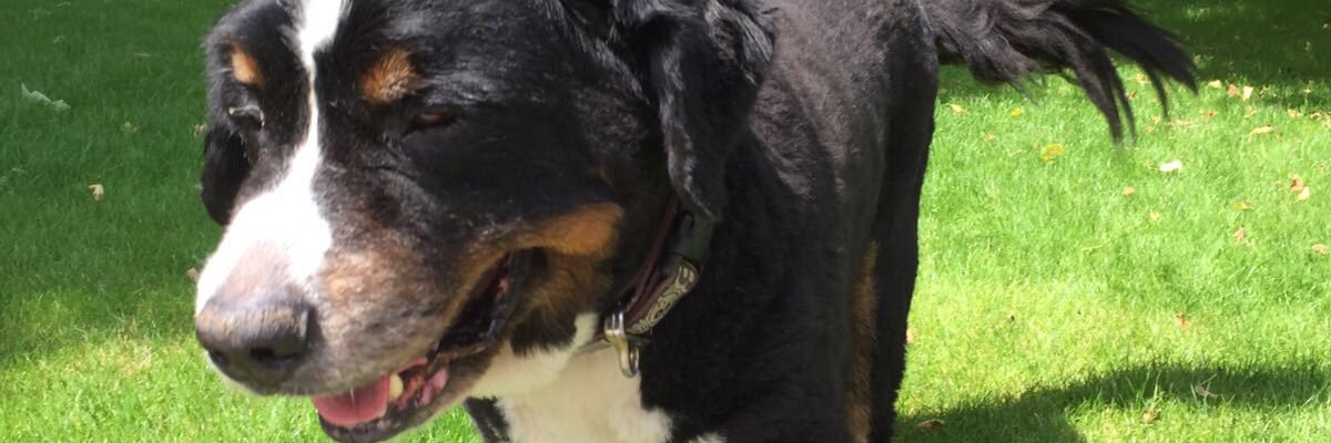 simonmarkryder's profile banner image