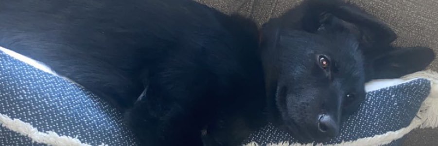 _aleebrown's profile banner image