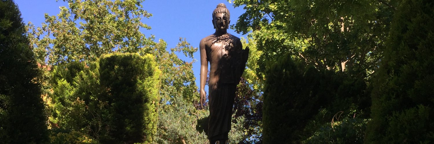 LARS 🇪🇺🇺🇦 banner