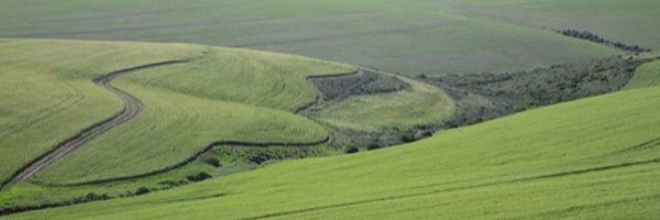 VilliersdorpT Profile Banner