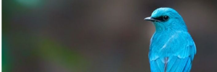 Gay99_67's profile banner image
