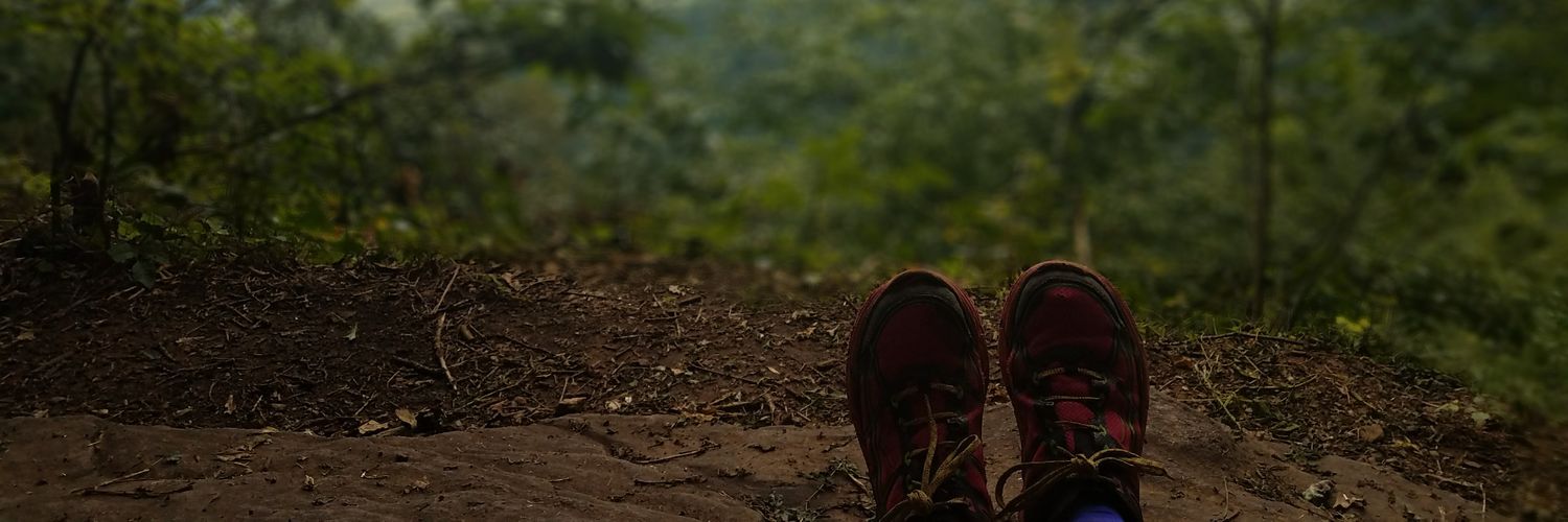 CLiebowitz's profile banner image