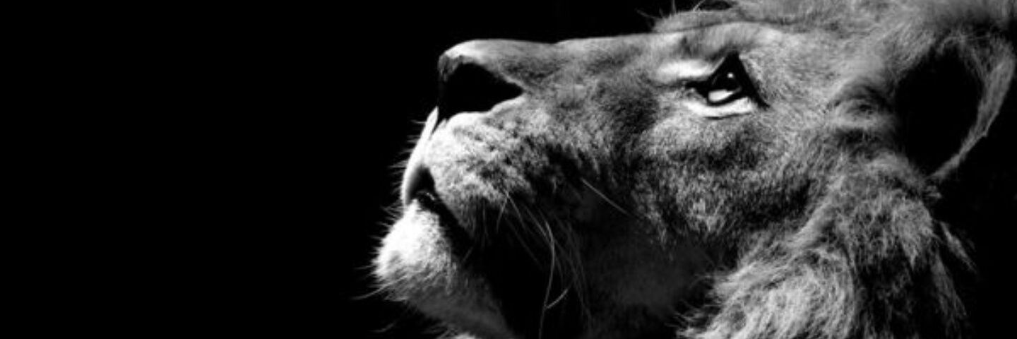 bmart88's profile banner image