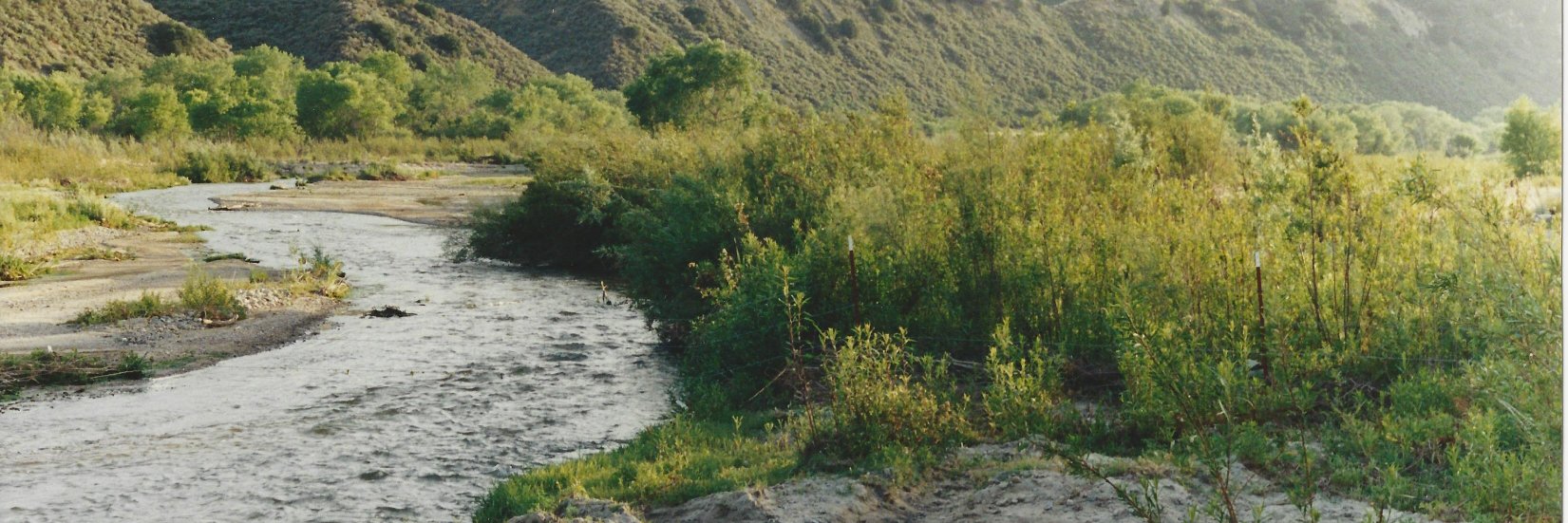 The River Project banner