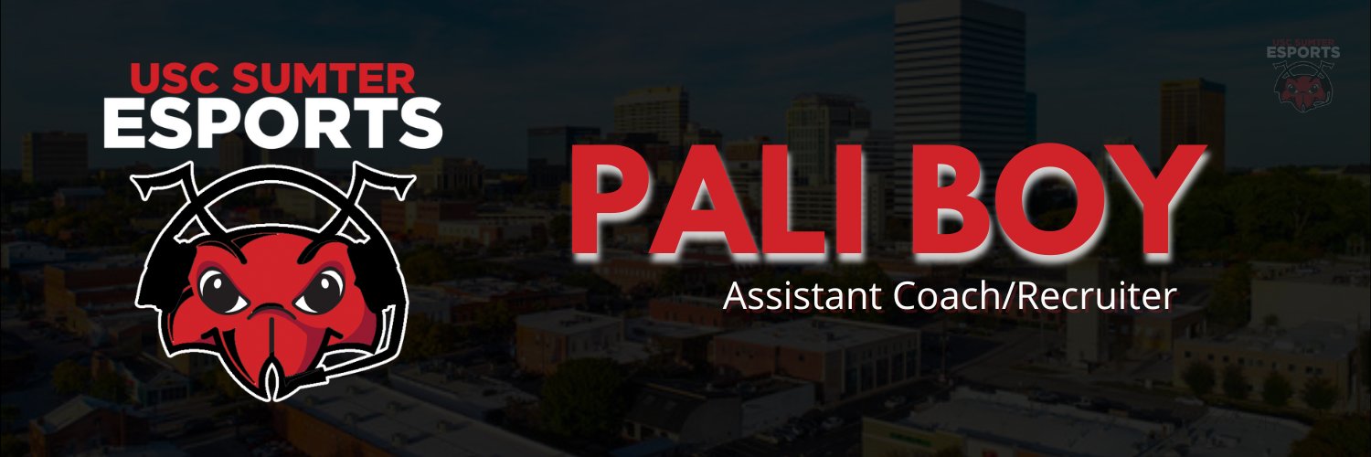paliiboy's profile banner image