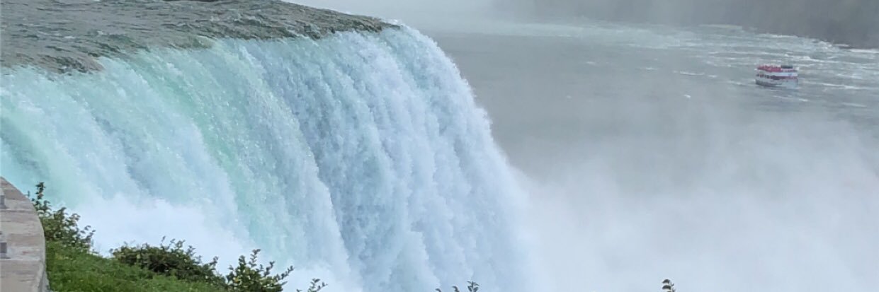 Taylor_2times's profile banner image