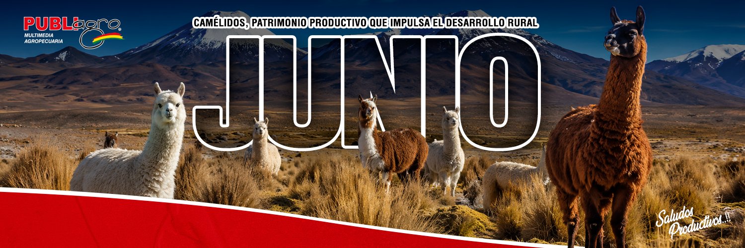 Publiagro's profile banner image