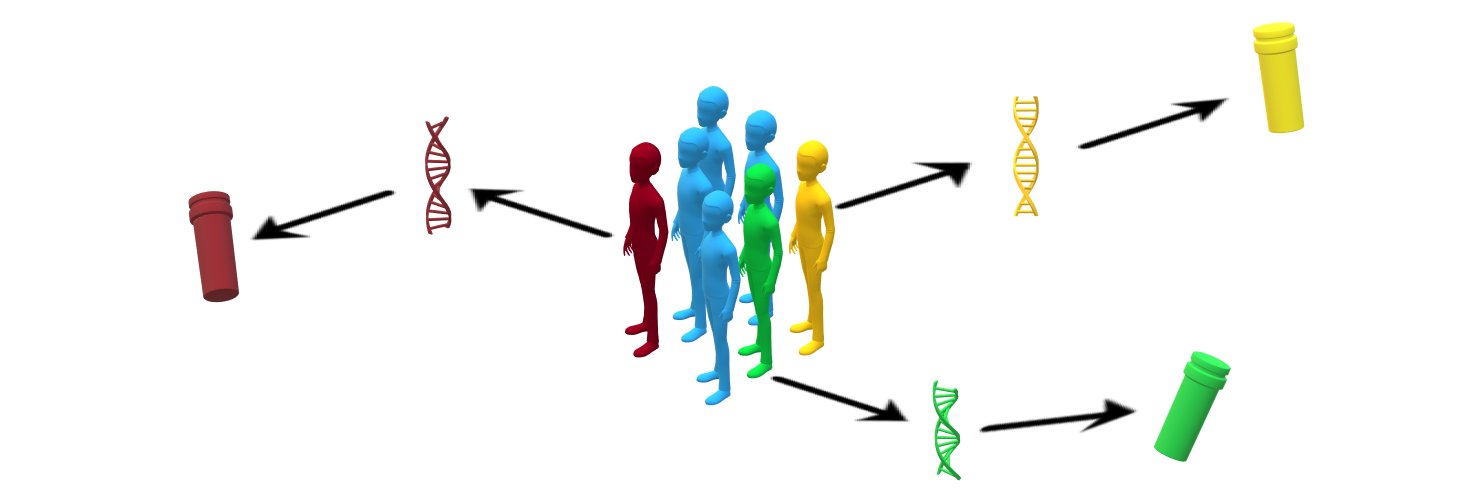 Autumn O'Donnell banner