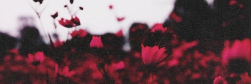 AndyMoontes's profile banner image