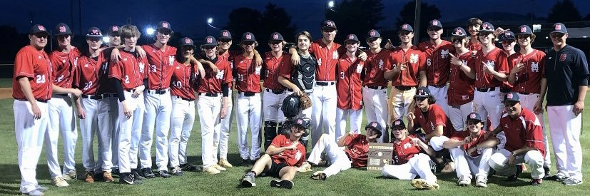 Signal Baseball banner