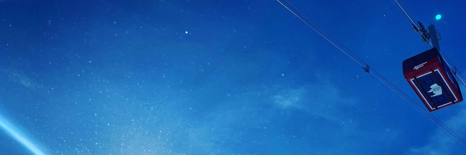 Michael Young banner