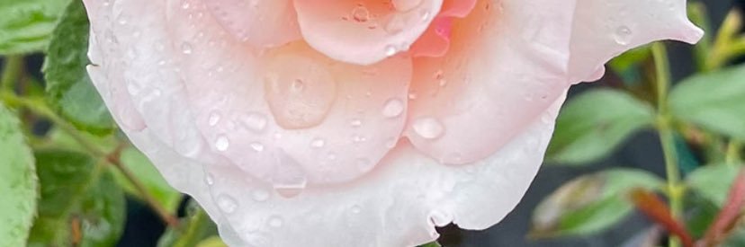 P & D Foams and Furniture banner