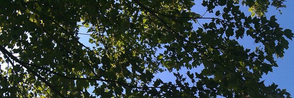 javafest Profile Banner