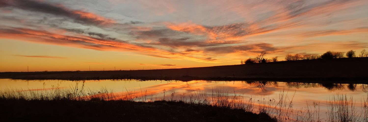 Allen Robertson banner