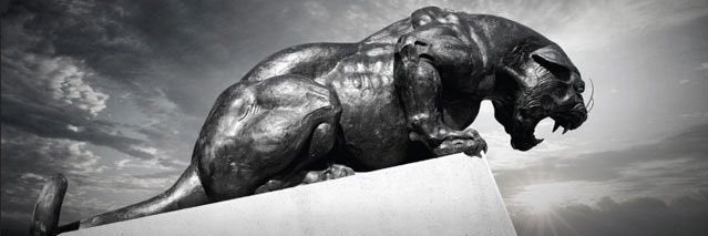 mschoolfield's profile banner image