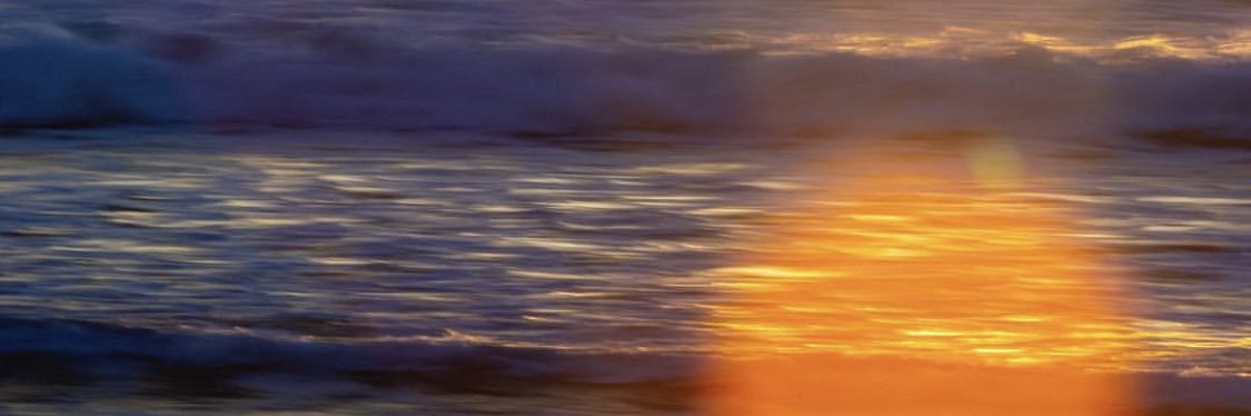 PaulinaDosal's profile banner image