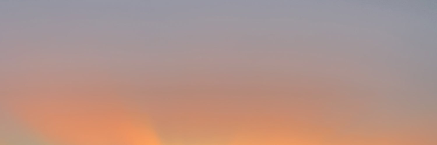 opsoniza's profile banner image