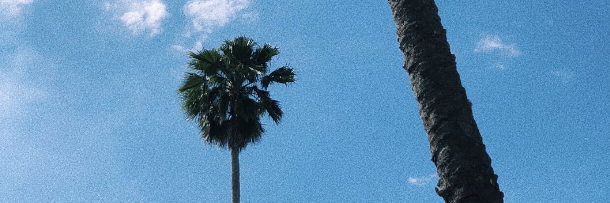 jaylen_288's profile banner image