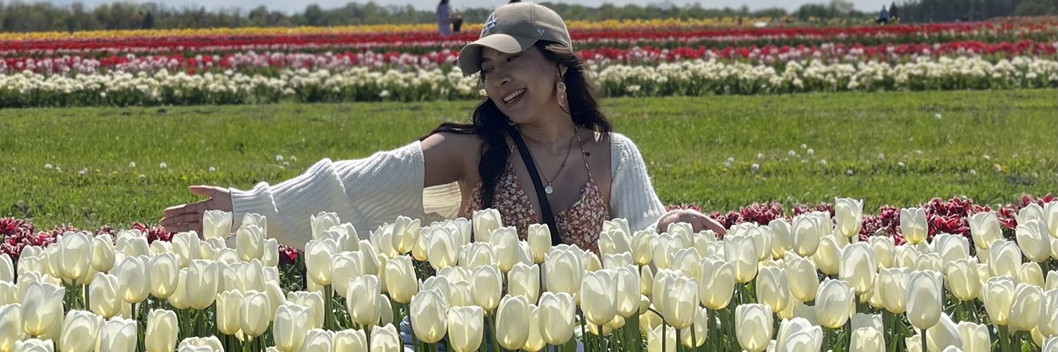 fiorealava's profile banner image