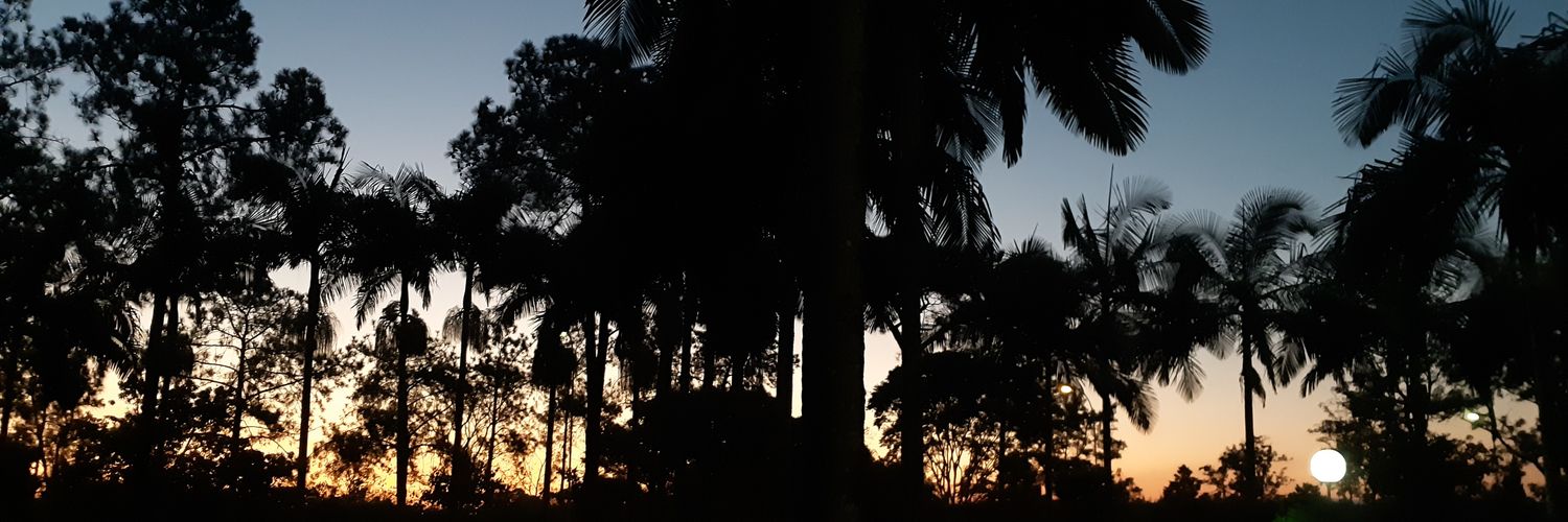 AnaLariissa2's profile banner image