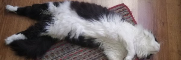 FAAS_01 Profile Banner