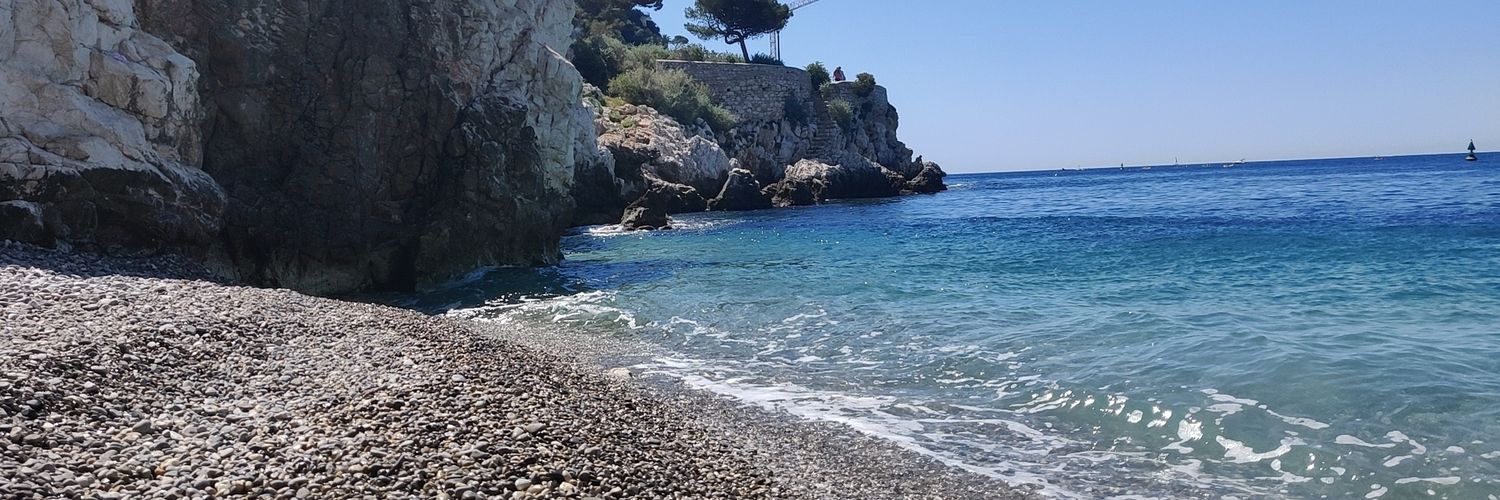 Alba_ilari's profile banner image