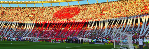 Agr. Triángulo River banner