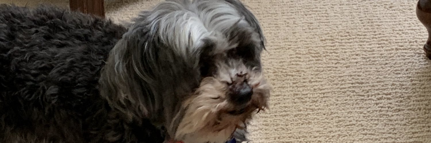 2Old2TakeThis's profile banner image