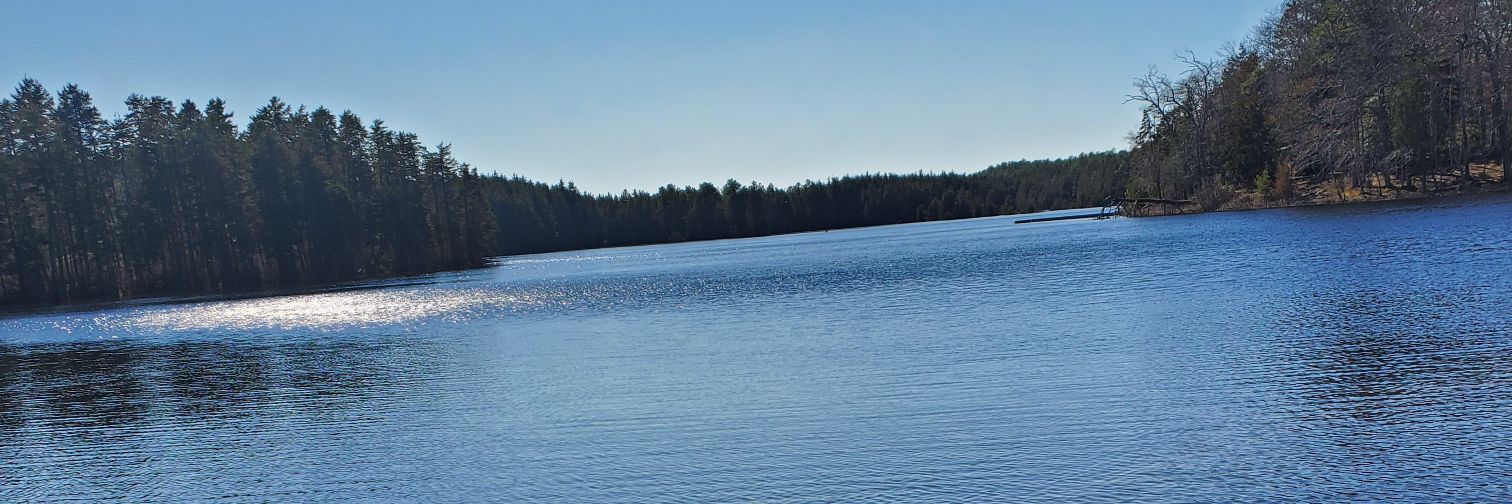 GaryShinn's profile banner image