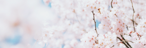 DemigodSkylar's profile banner image