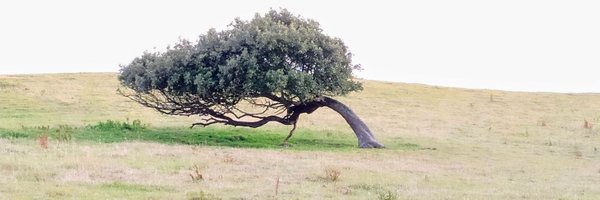 Andy3018 Profile Banner