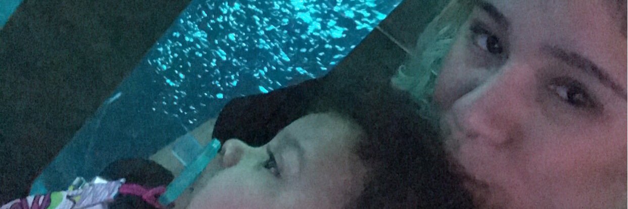 SamoDimpz's profile banner image