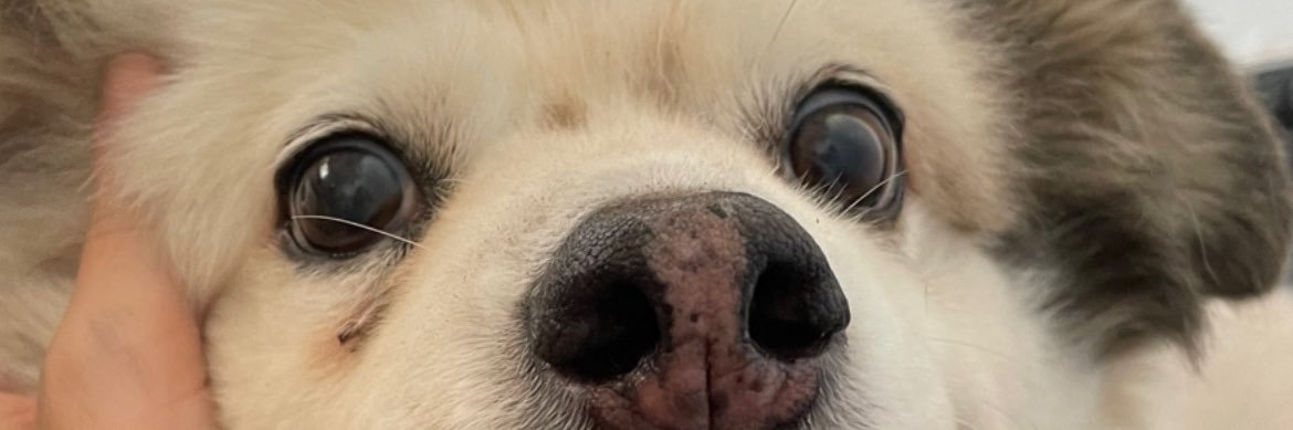 vickycasulo04's profile banner image