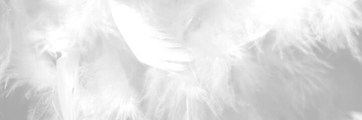 nohaomer's profile banner image