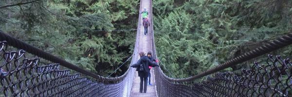 Phresh_Fish Profile Banner