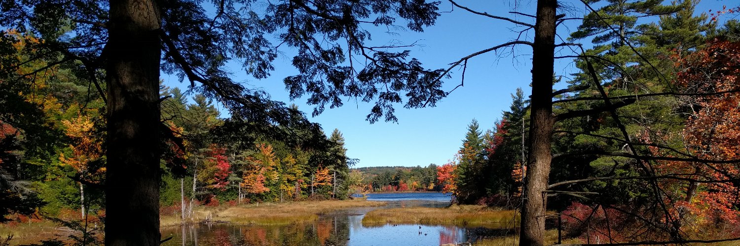 forestrynotes's profile banner image