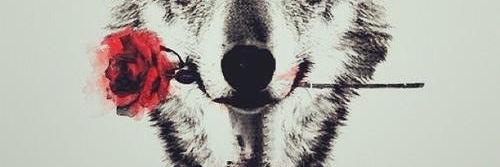 _Palooooma's profile banner image